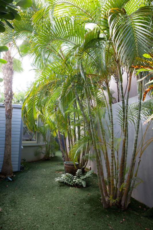 Location villa Devé - Le jardin de la chambre Master 1