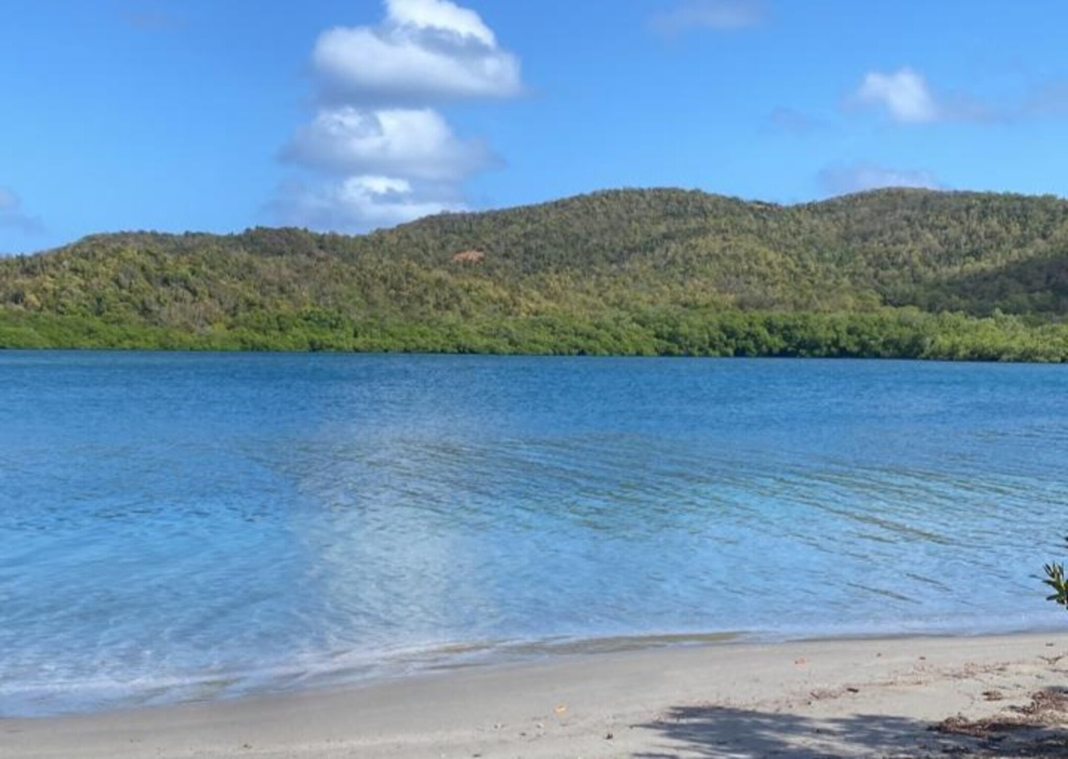 La plage de la Caravelle et la montagne en Martinique La plage de la Caravelle et la montagne en Martinique