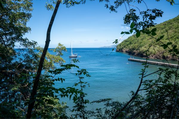 voyage en martinique