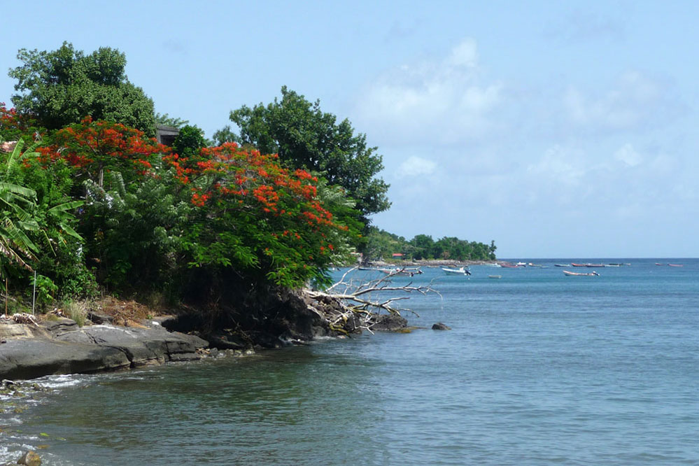 plage Petite Anse Anses d'Arlet Martinique